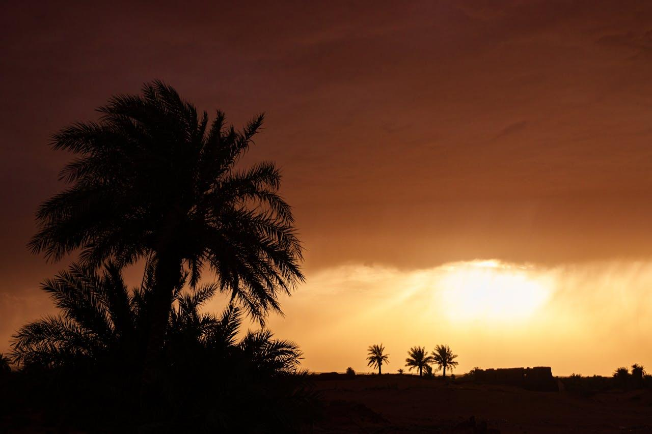 Agadir : Climat, temperatures et meteo – les meilleures periodes pour en profiter !
